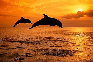 拉瑞安发行主管批评育碧解散《波斯王子》开发团队：非常失败的策略