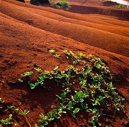 子弹时间酷跑《回旋镖X》7月8日发售 试玩版已上架Steam